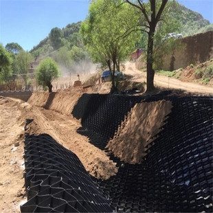 鱼塘护坡土工格室山体滑坡防塌陷路基稳固河道治理坡面绿化蜂巢网