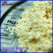 蓝晓科技SA550CP型石化化工领域凝结水精制的混床应用