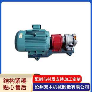 2.5齿轮泵 供应2CY系列高压泵不锈钢增压泵输送泵不锈钢2CY3