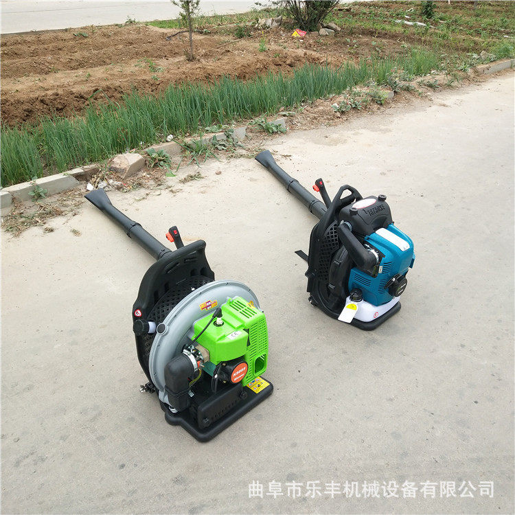 四冲程吹风吹雪机 小型汽油背负式吹风机 大功率路面吹风机,鲜花速递/花卉仿真/绿植园艺,其它园艺用品,淘宝优惠券,粉丝福利购,淘宝优惠卷