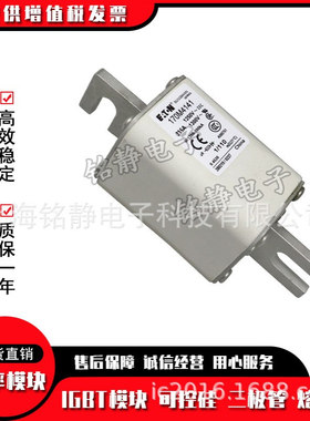 170M4762 170M4763 170M4764 170M4765熔断器巴斯曼