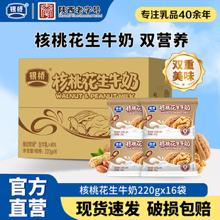 西安银桥核桃花生口味牛奶220g*16袋生牛乳奶源营养早餐整箱正品