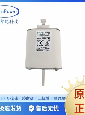 全新现货170M6348 170M6548 170M6349 170M6549低压熔断器