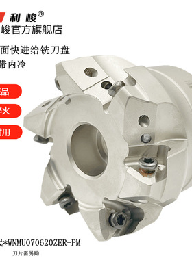 EXM双面快进给铣刀盘WNMU070620ZER-PM