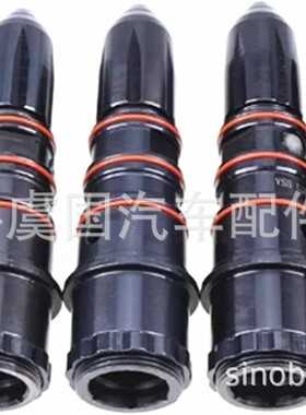 3030445 3047973共轨喷油器3054233