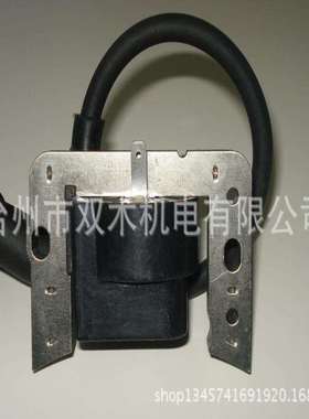 GCV160 高压包 GCV160磁电机 GCV135 GC160 GCV160 GCV190 动力