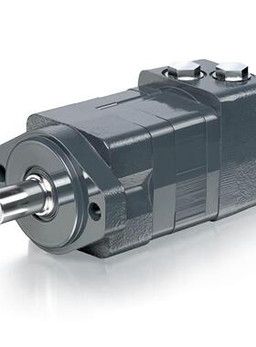 Impro//鹰普（WHITE//Danfoss）重载马达 – WS365