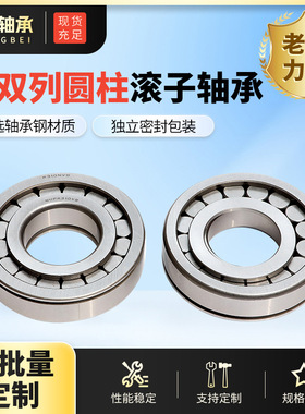 厂家供应圆柱滚子轴承摆线减速机用NJ316EM NU316EM NJ317EM