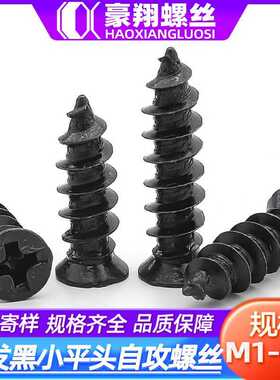 FA黑色小沉头自攻螺丝碳钢十字小平头自攻螺丝钉小头螺钉M2/M3/M4