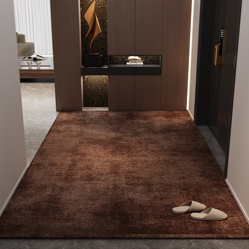 入户门地垫棕色地毯门垫进门客厅门口入门玄关Q家用脚踏垫子可裁