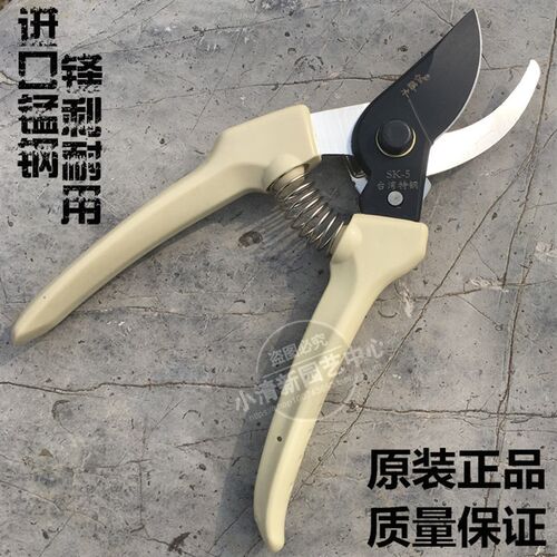 特价修枝剪园艺l剪刀整枝花枝剪树枝摘果剪园林工具粗枝剪