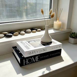 磁吸可打开装 饰仿真书桌面高级感轻奢收纳盒 饰书摆件现代家居装