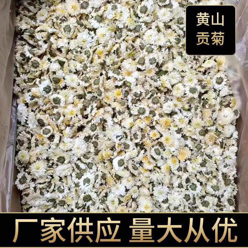 新货2023新花上市菊花茶500g黄山贡菊泡茶特花级白菊花胎菊花草茶
