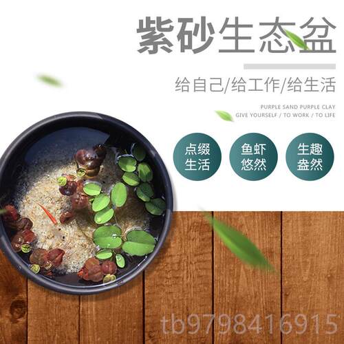 正品创意陶砂瓷鱼缸桌面生态盆物造景微景紫观水培植盆景浮萍观赏