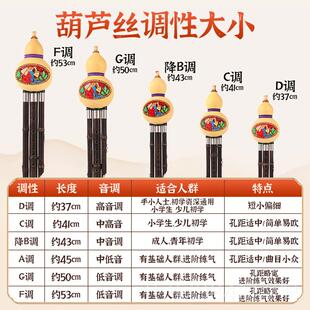 正品 葫芦丝乐器小生专用降B调儿童初学者紫学竹专业调演奏成人CDG