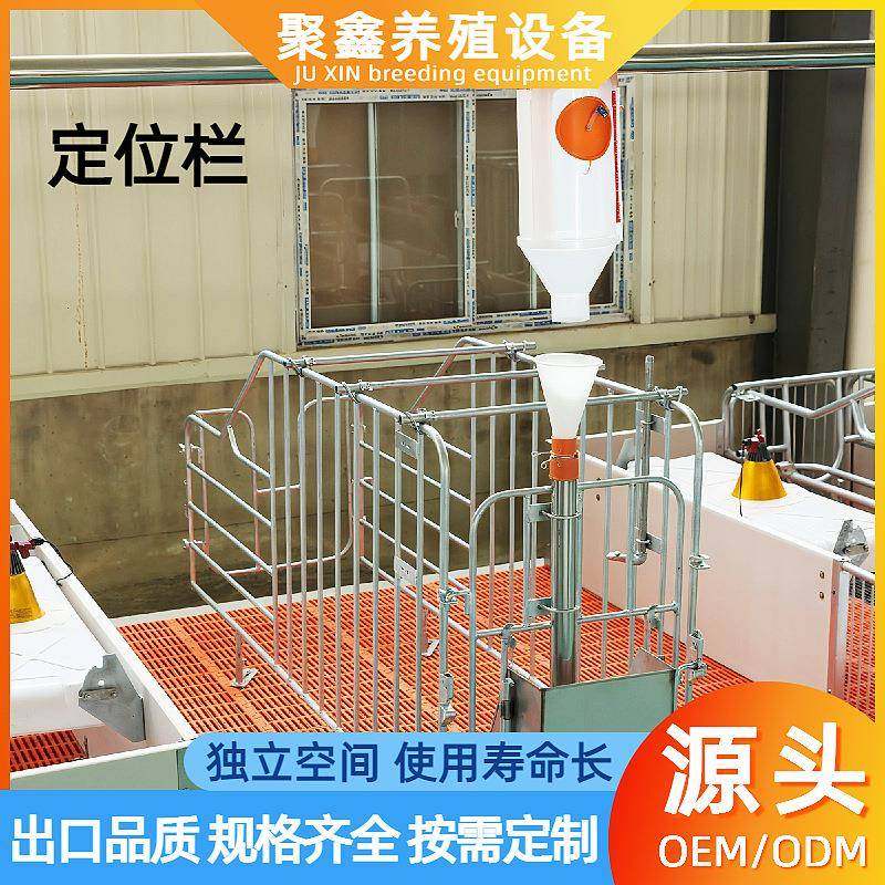 养殖场母猪定位栏落地式限位栏猪用定位栏带槽加厚产床仔猪保育