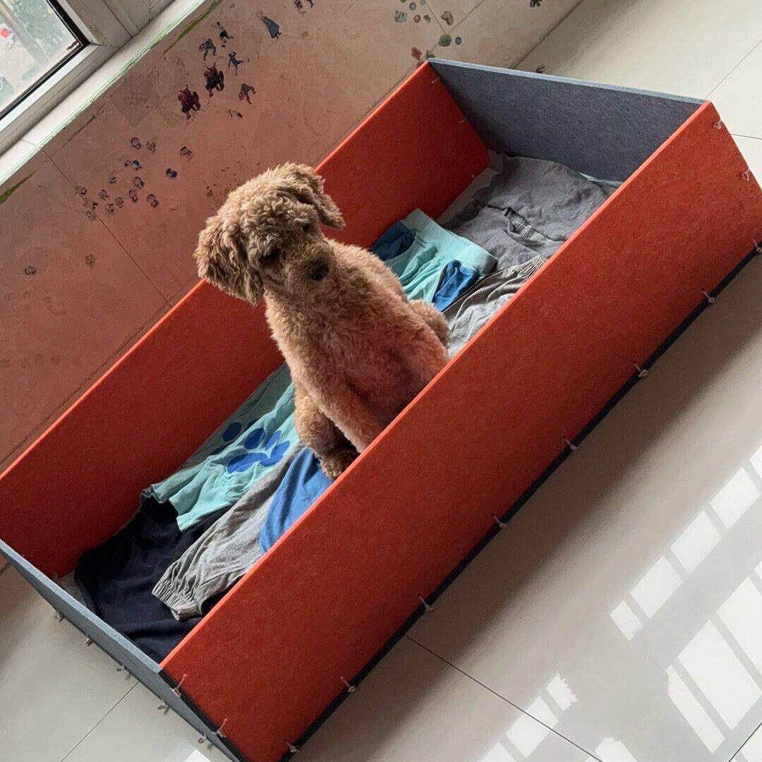 猫咪分娩窝猫咪待产窝狗狗围栏组合加高设计待产窝可移动产仔窝猫