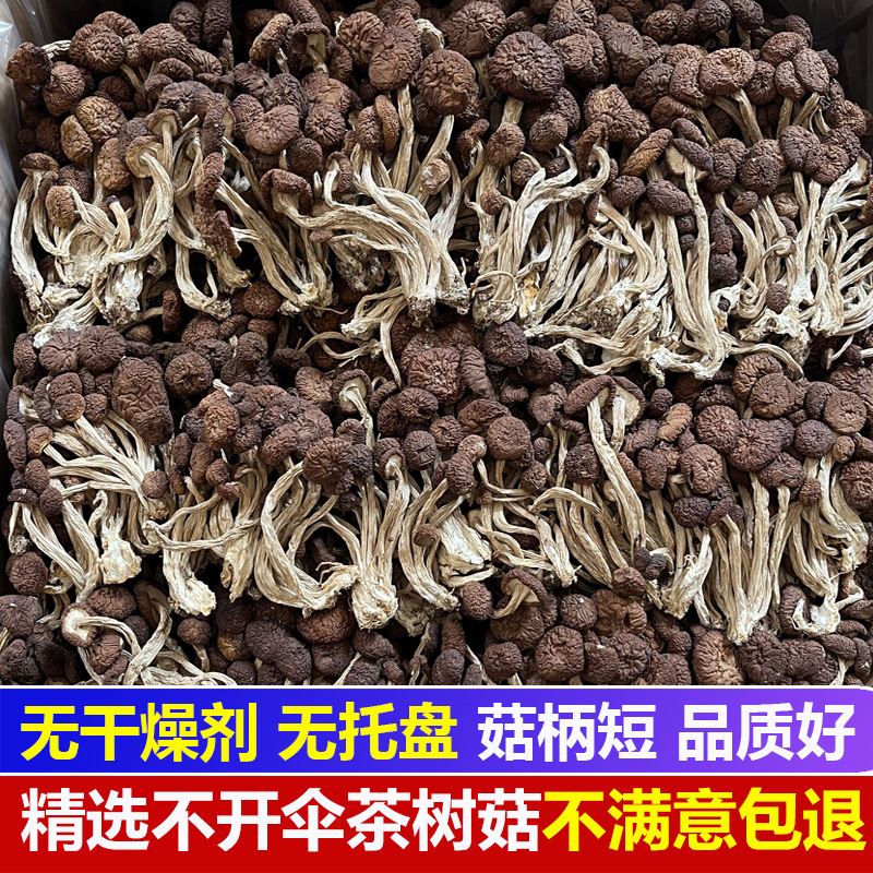 新货茶树菇不开伞500g井冈香菇干货剪跟短茶薪菇江西农家特产1斤