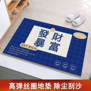 克莱因蓝丝圈入户门地垫家用进门大门口吸水防滑脚垫子可裁剪垫子