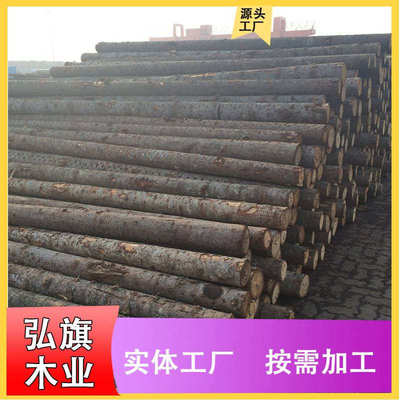 港区批发白松原木驳岸护岸工地建筑河道打桩木白松木方原木松木