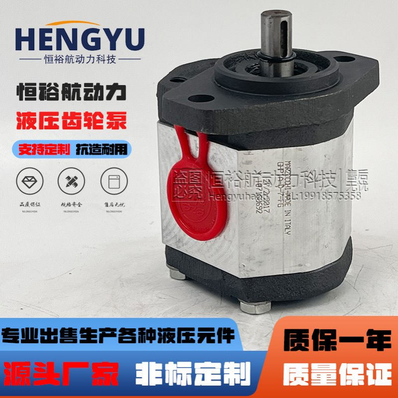 马祖奇高压油泵MARZOCCHI齿轮泵GHP1A-D-7-FG泵GHP2A GHP3A液压泵