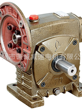 WPWRS175/WPWDS175蜗轮蜗杆减速机175#传动比1/10/20/30/40/50/60