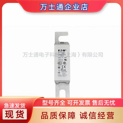 170M1363/1364/1365/1366/1367/1368/1369/1370/1371/1372熔断器