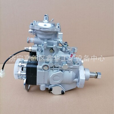 专业供应各类型号VE泵总成22100-1C201 221001C201