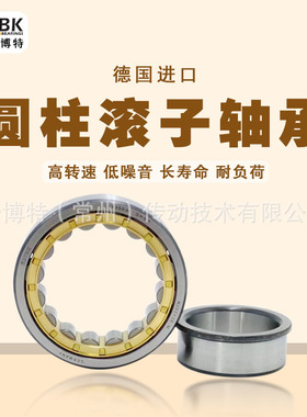 德国KBTBK进口圆柱滚子轴承RN321 324 328 330 334 336EM