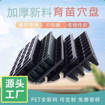 整箱育苗盘穴盘育苗盆种植蔬菜科禾塑料秧盘农用育种扦插盒托盘