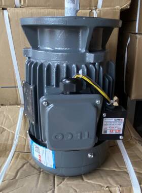 刹车马达2HP1.5W4PAEVF2N电磁制动三相异步电动机