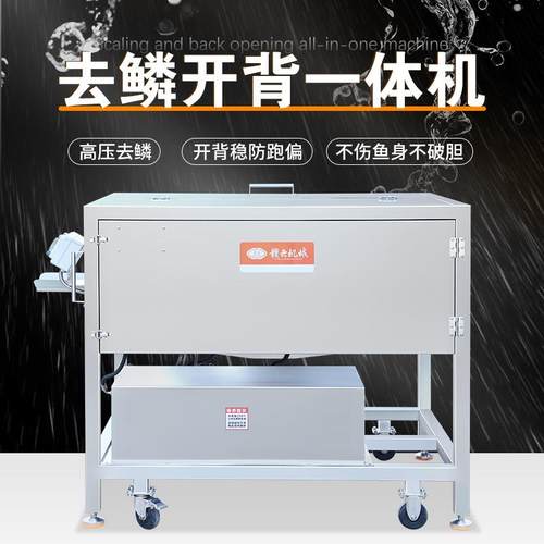 高压水去鱼鳞开背一体机大型鱼类深加工设备全套杀鱼去鳞设备