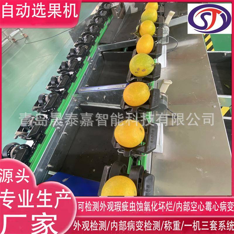 水果重量分选机果脐橙土豆西红柿火龙果菠萝外观瑕疵检测选果机