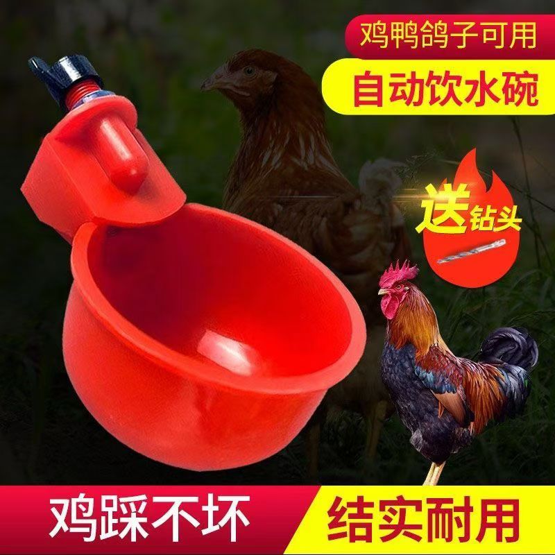 加厚鸡鸭鹅饮水器鸽子家禽自动喂水器鸡用饮水碗全自动鸡鸭饮水槽