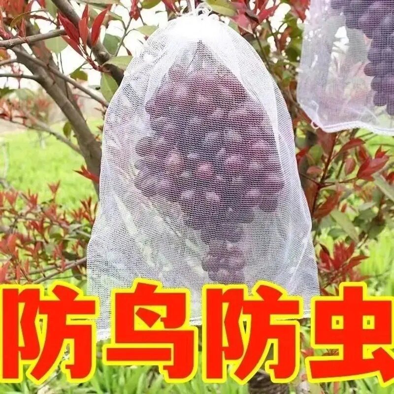 水果套袋葡萄套袋防虫防鸟白色纱网袋子透气防果蝇套树苗果树网袋