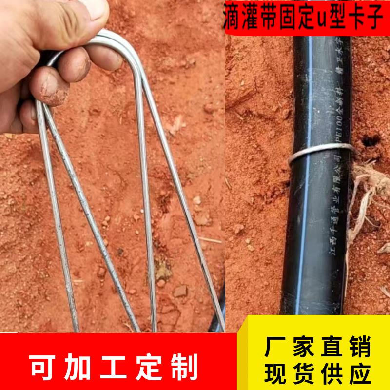 滴灌带卡子微喷管固定器地钉加粗镀锌草坪大棚实用园艺 厂家直销