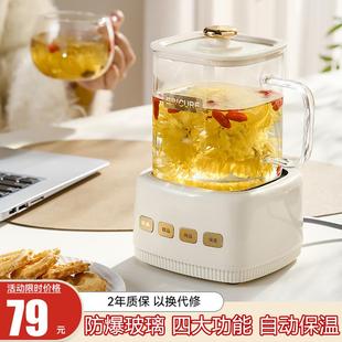 花茶养生壶小型办公室家用多功能2024新款 煮茶壶玻璃养生杯高颜值