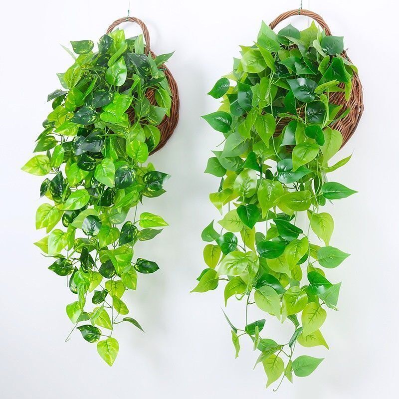 模拟Pothos客厅壁挂式绿色植物壁挂式植物装饰挂假花藤室内藤蔓蜘