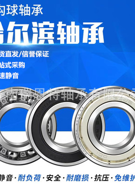 哈尔滨轴承6222轴承6222ZZ轴承6222-2RZ轴承  哈尔滨6222轴承