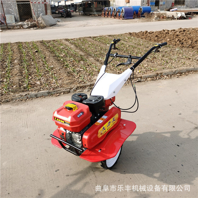 现货手扶式小型旋耕机 两驱自走汽油农田耕地机 多用途果园耕地机,模玩/动漫/周边/娃圈三坑/桌游,文化/体育周边,淘宝优惠券,粉丝福利购,淘宝优惠卷