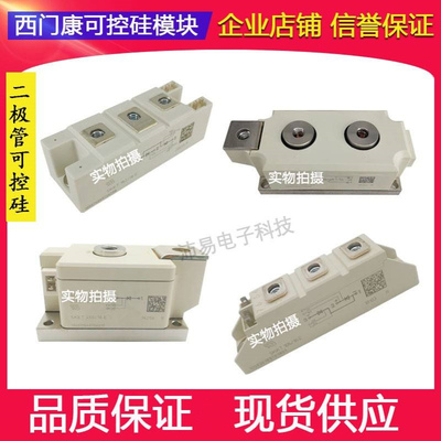 SKKE301F12  SKKE310F12  SKKE330F17  SKKE600F12二极管模块供应