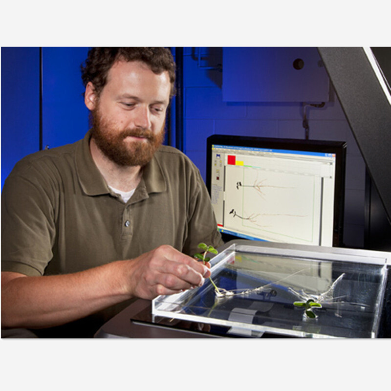 FG-RIAS植物根系分析系统 V850PRO扫描仪根系整体结构分布分析仪