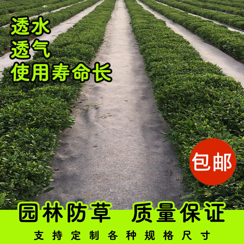 防草布除草地布园林抑草农用抗老化除草布地钉滴灌保水不长草厂家