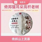 2022年云南倚邦猫耳朵高杆老树纯料茶普洱茶生普生茶