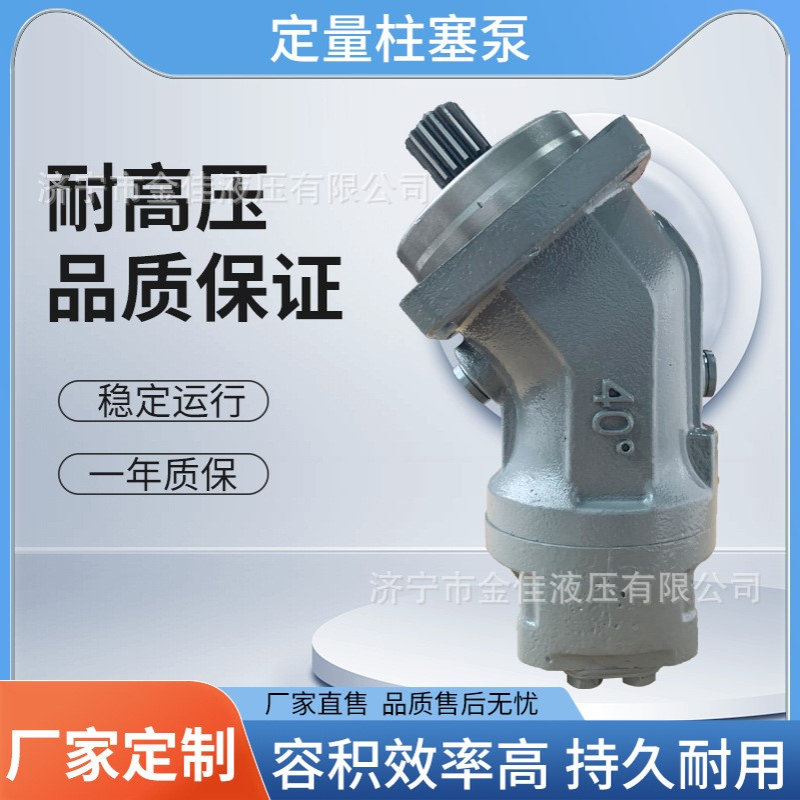 厂家供应A2FO系列轴向定量柱塞泵 弯脖油泵 行走机械高压液压油泵