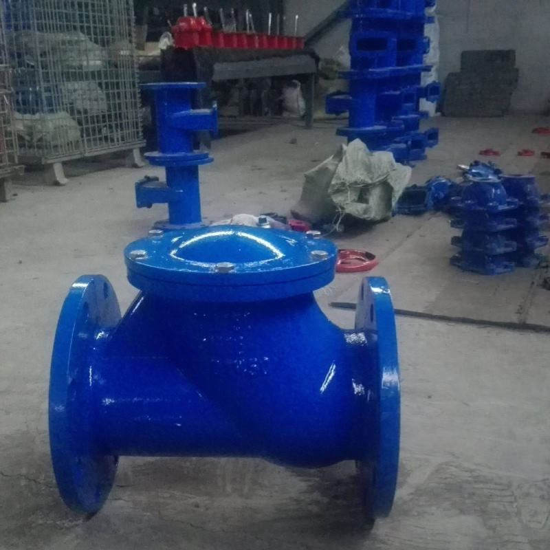 厂家供应 HQ41X球形止回阀污水单向法兰球墨铸铁滑道滚球式止回阀