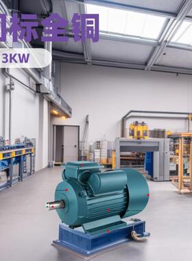 YL112M系列220v单相异步电动机国标全铜3W/4W双电容电机高效能