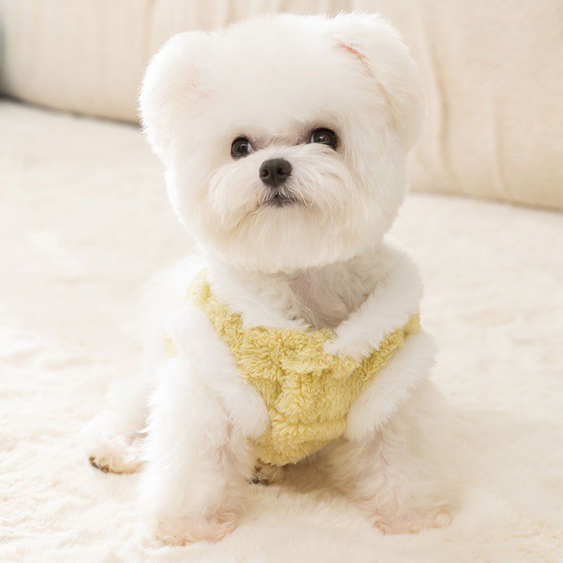 小狗狗衣服c宠物秋冬款泰迪比熊雪纳瑞小型幼犬兔毛牵引马甲绒衣