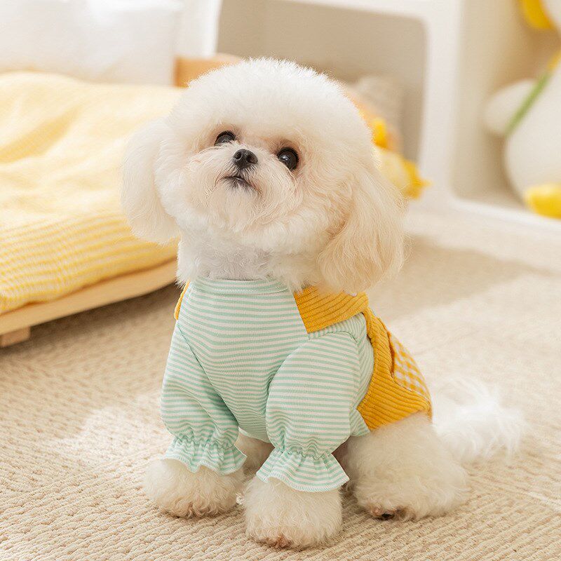 小狗狗衣服宠物秋款卫衣泰迪比熊雪纳G瑞小型犬口袋背带牵引两脚