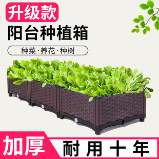 种菜神器家庭阳台花架爬藤支架阳台种菜L盆塑料花盆种菜种植箱